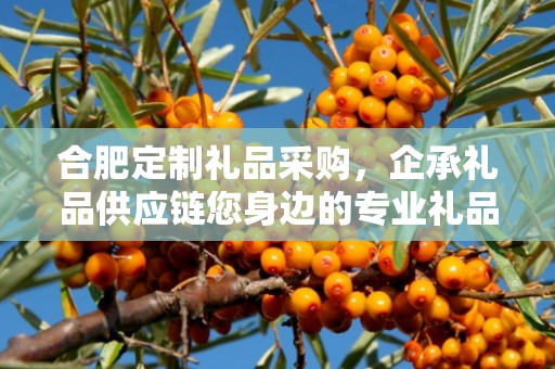 合肥定制礼品采购，企承礼品供应链您身边的专业礼品定制公司
