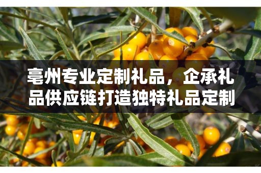 亳州专业定制礼品，企承礼品供应链打造独特礼品定制体验