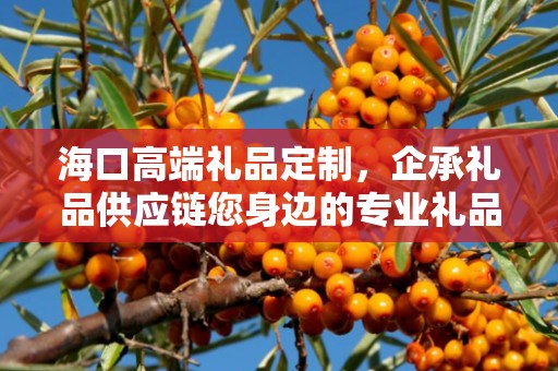 海口高端礼品定制，企承礼品供应链您身边的专业礼品定制公司