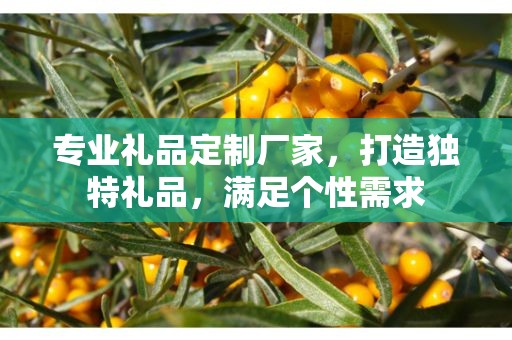 专业礼品定制厂家，打造独特礼品，满足个性需求